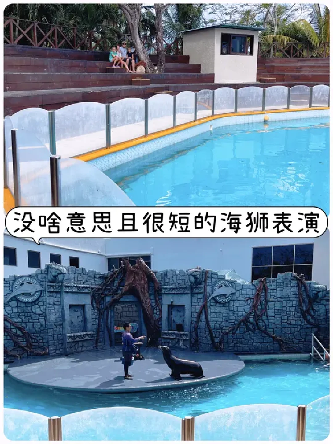皇家加勒比游轮Cozumel上岛带娃浮潜攻略
