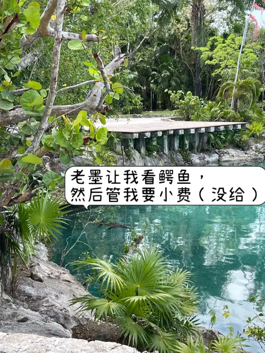 皇家加勒比游轮Cozumel上岛带娃浮潜攻略