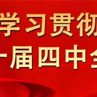 【民生话你知】桂洋镇：新产季柿饼甜蜜上市 传统工艺酿出增收好滋味