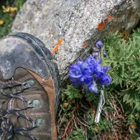 一双登山鞋可穿9年，现在还有这样的鞋吗？