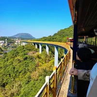 深圳Ⅰ可以坐50分钟的森林小火车（攻略版）