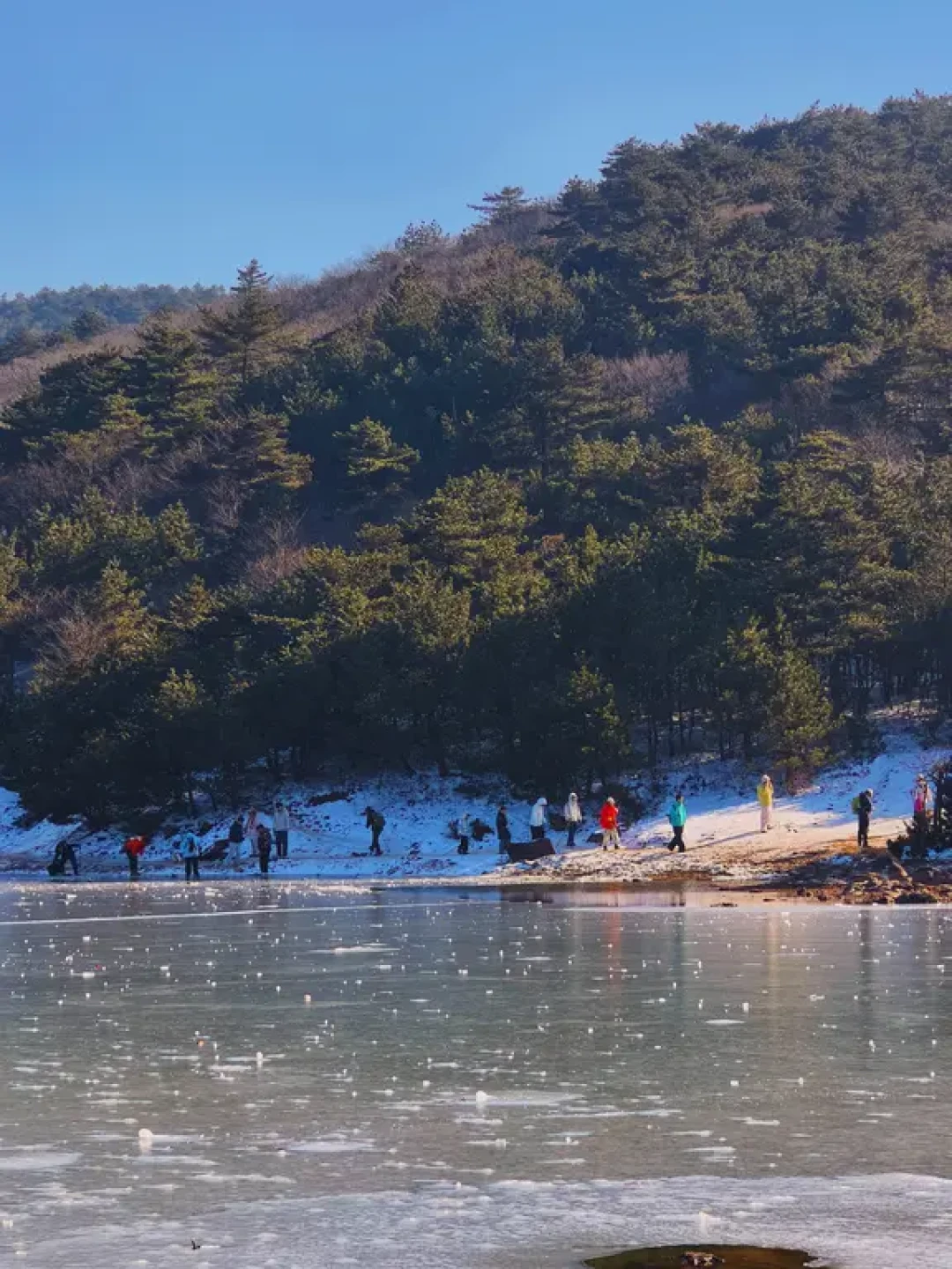 雪化后的百丈岭1.10实拍