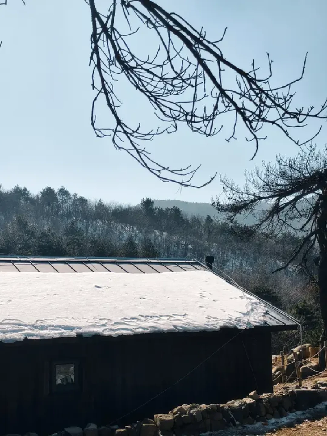 雪化后的百丈岭1.10实拍