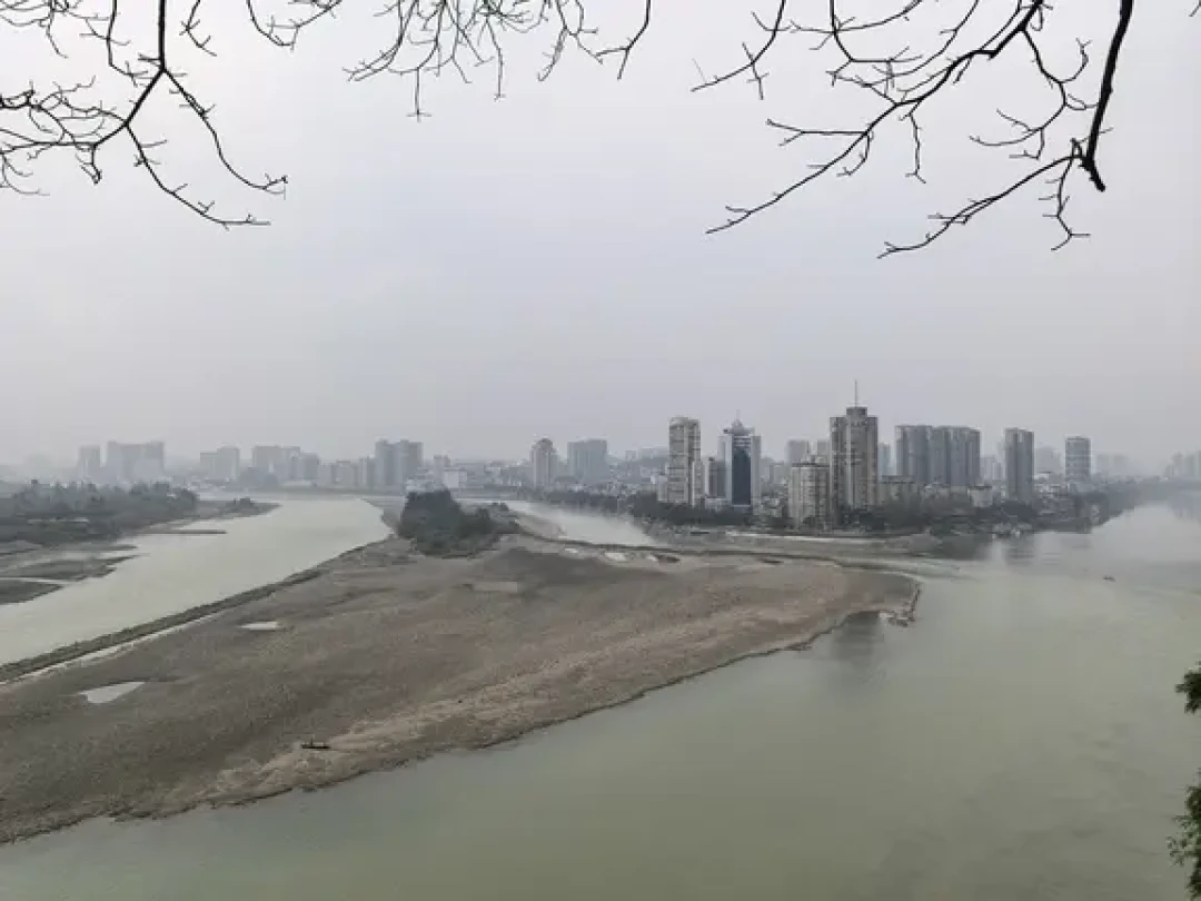 成都往返乐山一日游