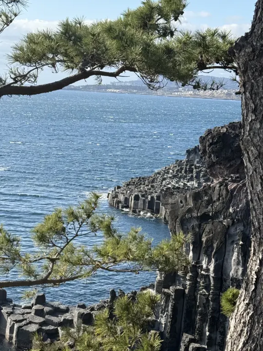 🍊济州岛极限5小时,不走回头路