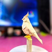 最漂亮的玄凤鹦鹉折纸教程来啦！