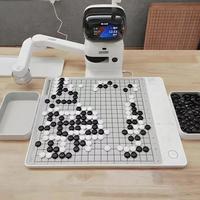 围棋AI与人类对弈，业余爱好者该学谁？全网观点大PK