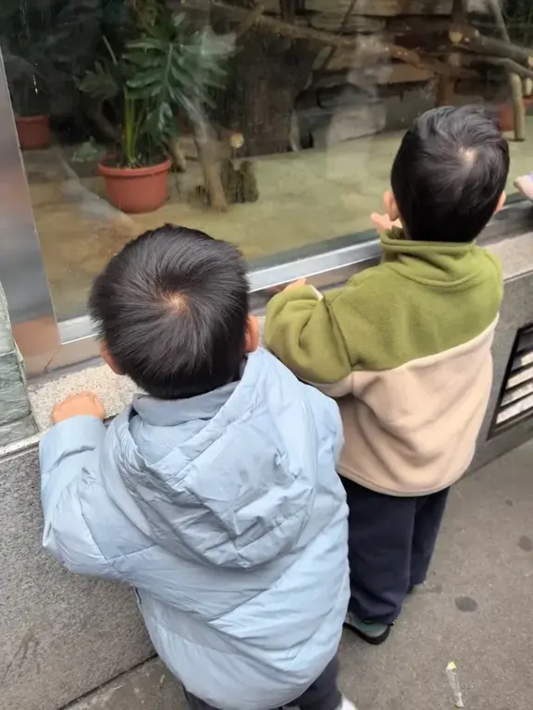 去了5次才总结出来的动物园神仙线路❗️