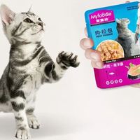 10款国产高口碑猫罐头，挑食猫家长囤货必看第几款？
