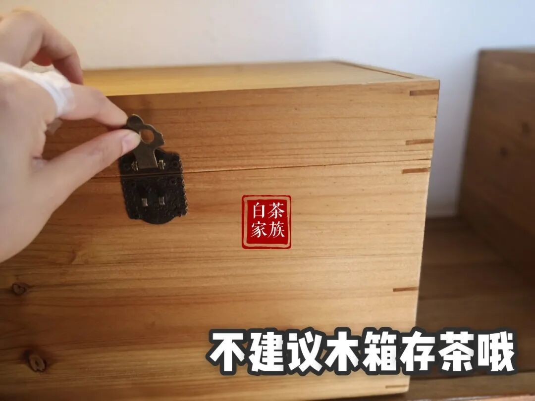 存白茶总翻车?这3个错误方式你中了几个