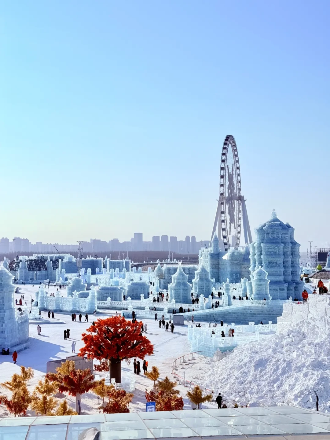哈尔滨冰雪大世界保姆级攻略🔥