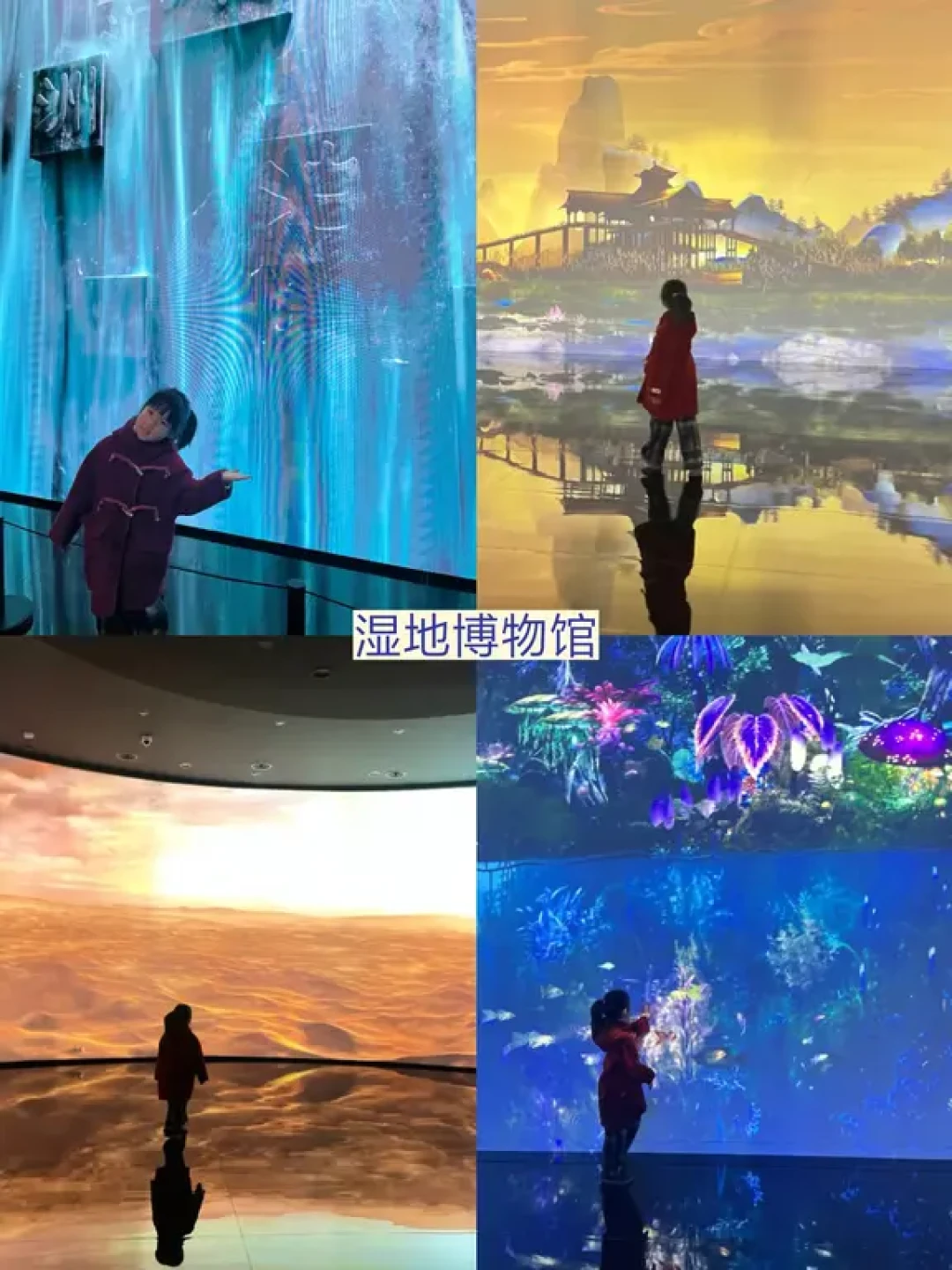 西溪湿地免费区|一条路线逛遍所有精华✅