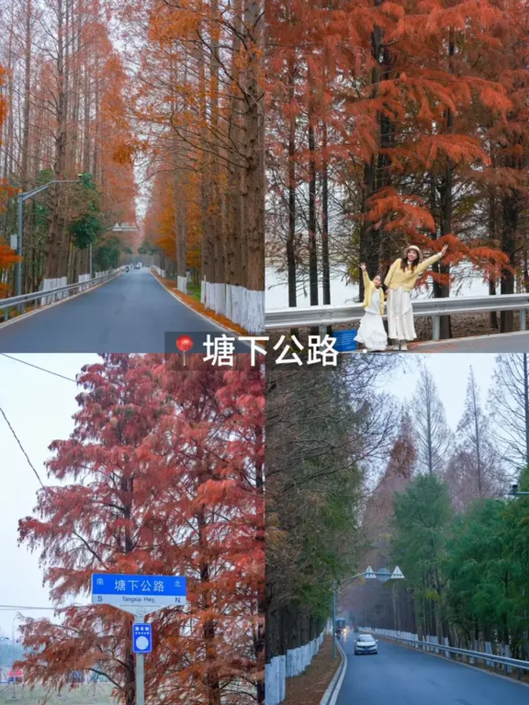 上海临港❗️没想到魔都还有这么好玩的地方