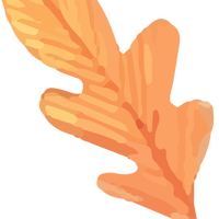 咖啡萃取全过程丨从咖啡豆到咖啡液的奇妙转换