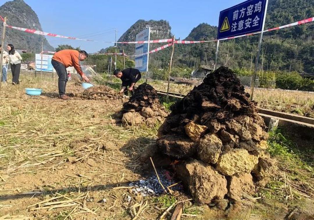 广西忻城:冬闲田变身“网红露营地” 返乡青年带火乡村休闲游
