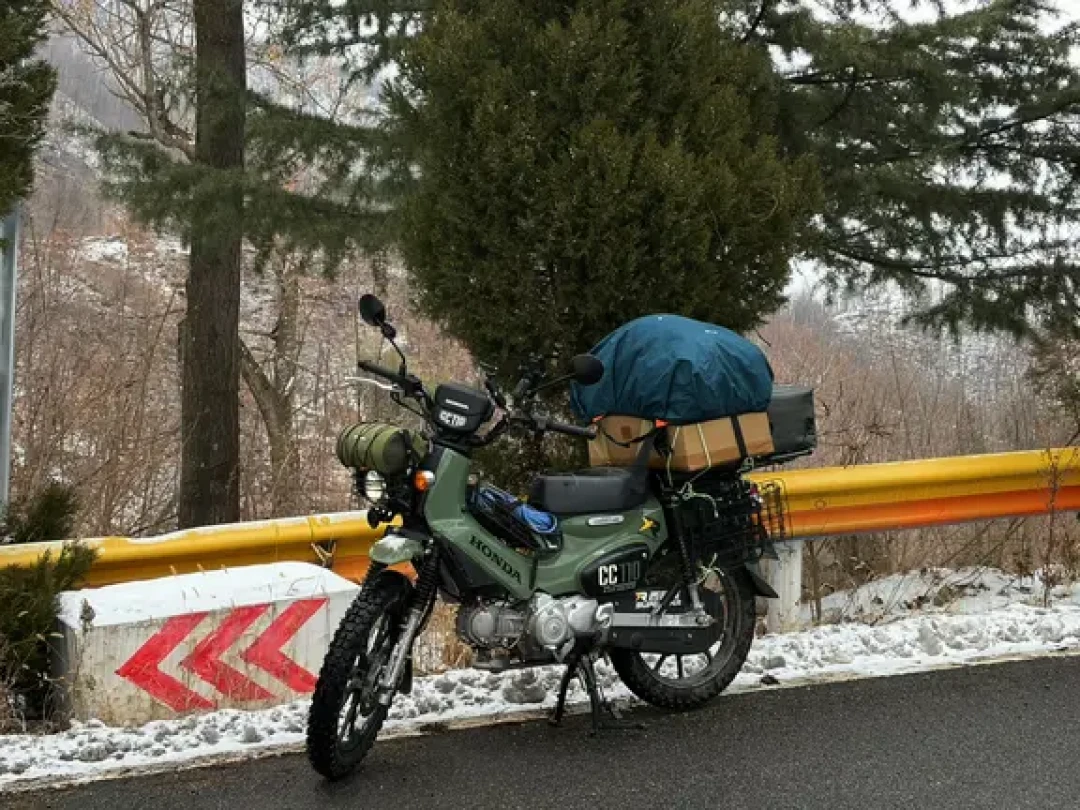 挑战幼兽最强装载🛵