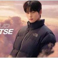 健康解“迷”｜韩国The North Face 13款产品鹅绒变鸭绒，品牌道歉