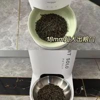 兔子都能用喂食器！两款超🔥喂食器功能pk