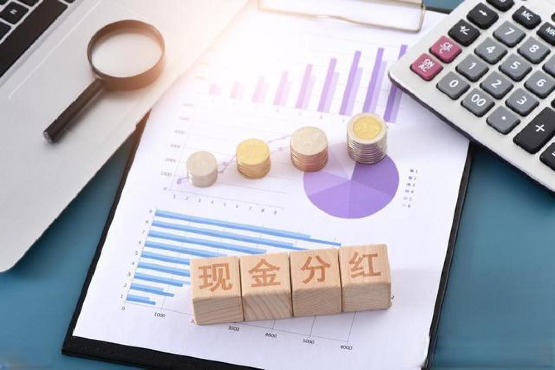 长期买银行股吃分红:稳健投资策略的深度解析