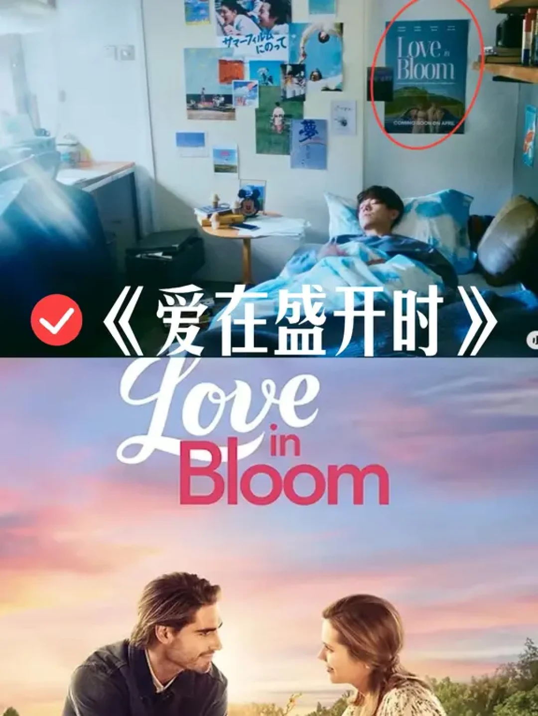 那些家谦和电影的点点滴滴(3)