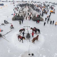 打工暂停，让我们一起祝贺2026年第一位“查鲤”