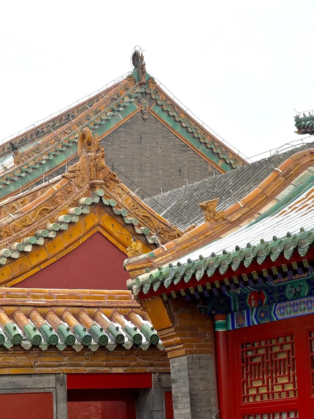 特种兵旅行📍一天玩遍沈阳太棒了⛩️