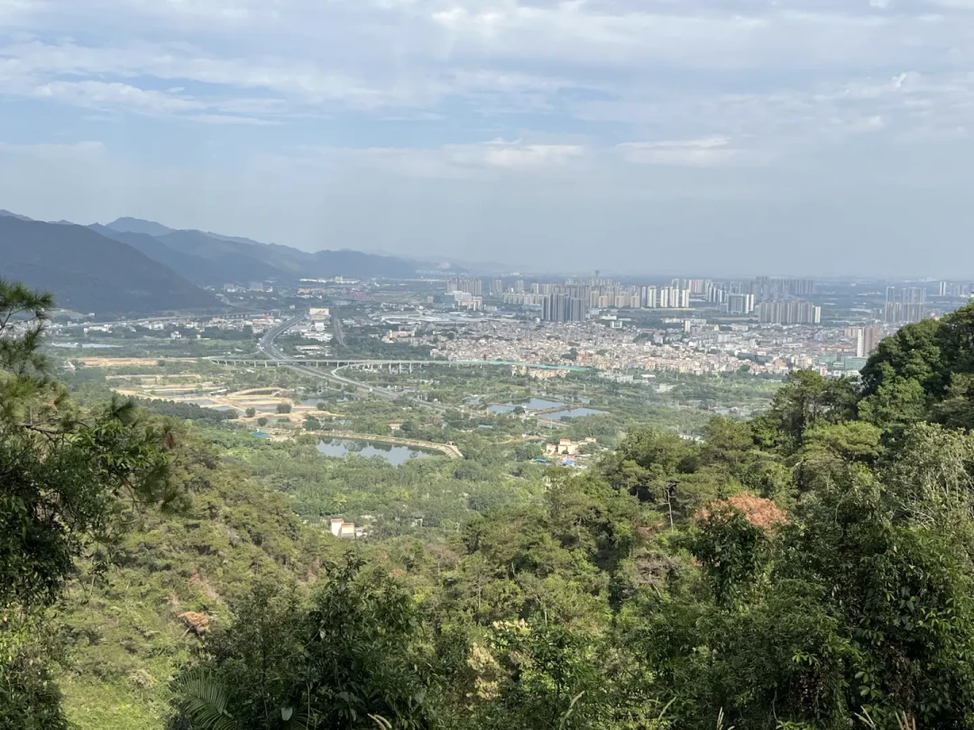 肇庆鼎湖山保姆级攻略✨