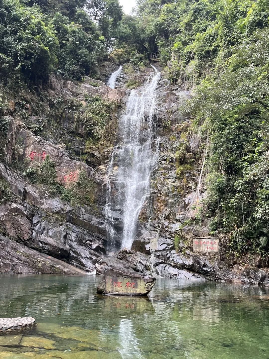 肇庆鼎湖山保姆级攻略✨
