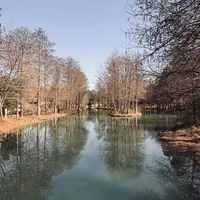1月杭州西溪湿地公园游玩攻略