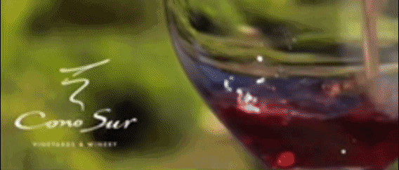 不止 “单一”，更是极致风土！柯诺苏单一园葡萄酒深度指南