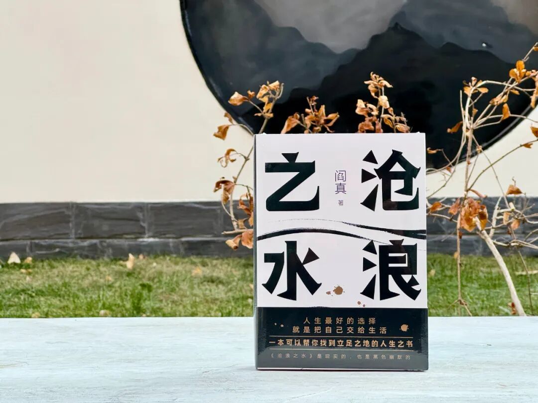 这本讲体制内的书，今年卖爆了
