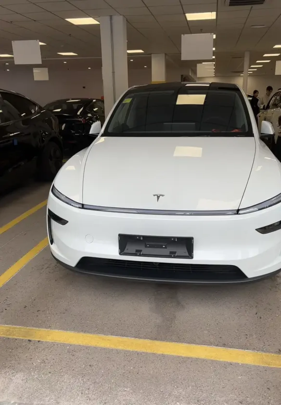 Tesla model Y福州提车申请置换补贴成功