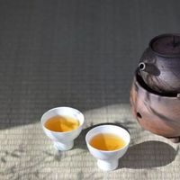 冬季流感多发，常喝这几种茶，可强力杀菌抗病毒！
