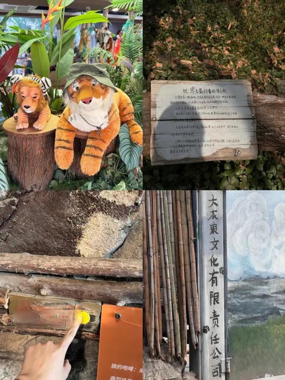 红山动物园4小时🐒不走回头路精华版攻略🗺️