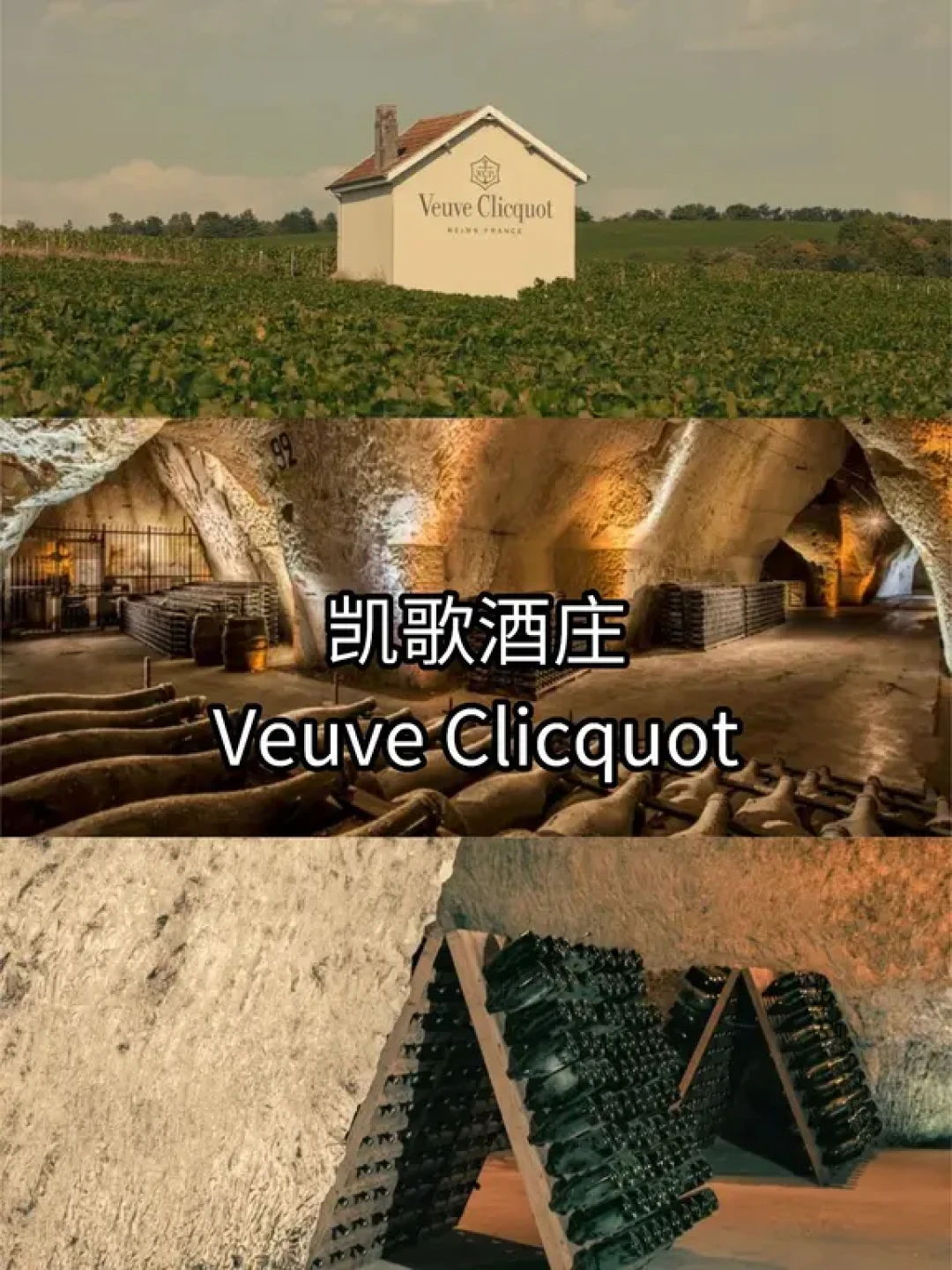 一张图解锁香槟品牌Top10!附私藏路线📝