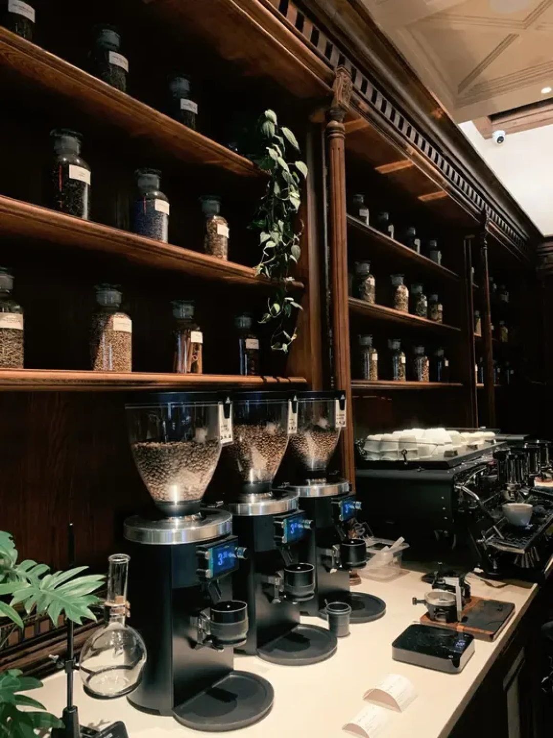 📍上海咖啡三巨头｜冠军的风味博物馆☕️