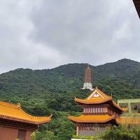 寺庙功德箱频繁被盗引热议，50+用户观点全景呈现