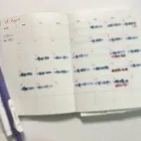 适合P人的2026手帐体系（2025成功版）📝