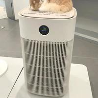 宠物空气净化器什么牌子好用？