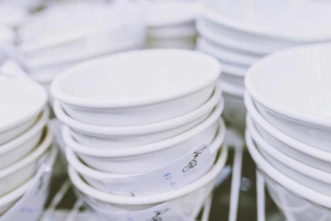 新买的陶瓷餐具，直接用水洗就用了？难怪…