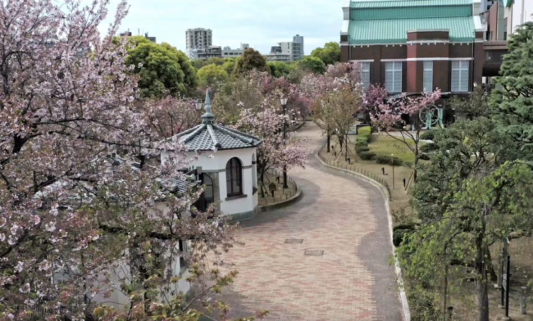 日本1-12月,每个月适合去哪里玩?一文写尽每个季节的最佳景点