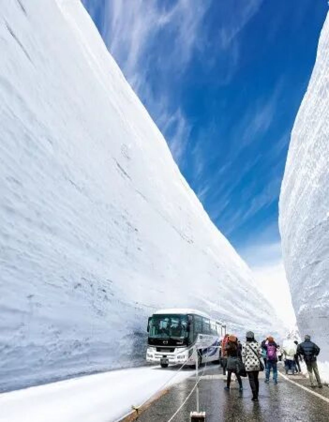 日本1-12月,每个月适合去哪里玩?一文写尽每个季节的最佳景点