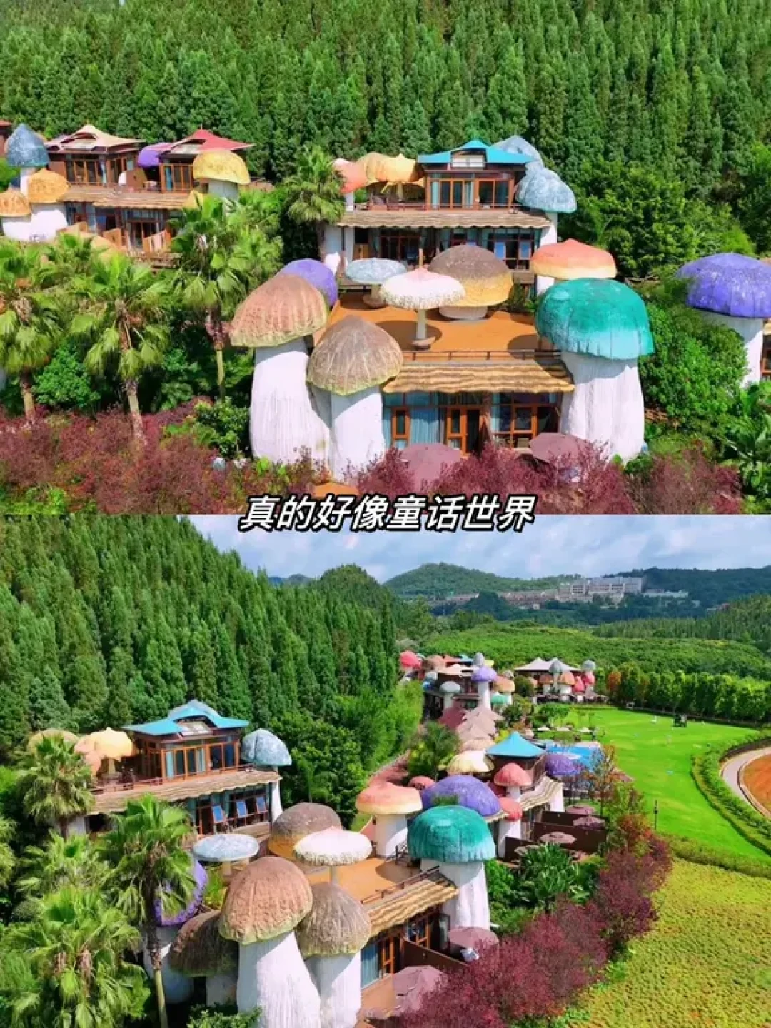 放弃大理了❗️寒假带娃住进便宜一半的蘑菇屋