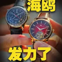 海鸥这波开年新品着实是发力了！ #海鸥表 #一颗中国芯