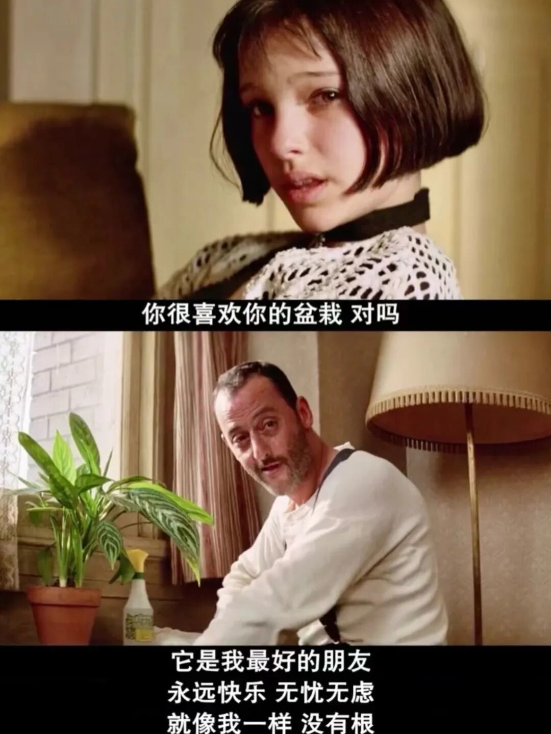 《这个杀手不太冷》剧情解析（三）