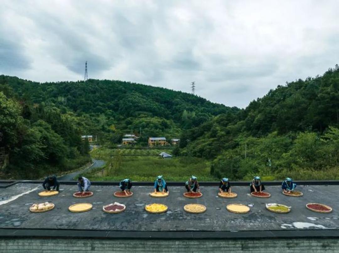陕西老板全国“包村”建民宿,一晚卖到两三千