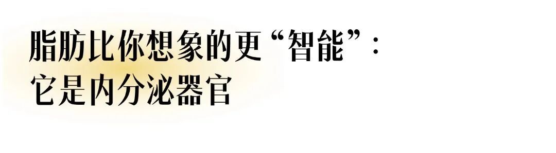 科创万花筒|天冷全靠脂肪扛!这身肉,总算没白长!