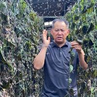 宇宙中心曹县：昆虫蛋白宠物饲料十年领跑全球的产业密码
