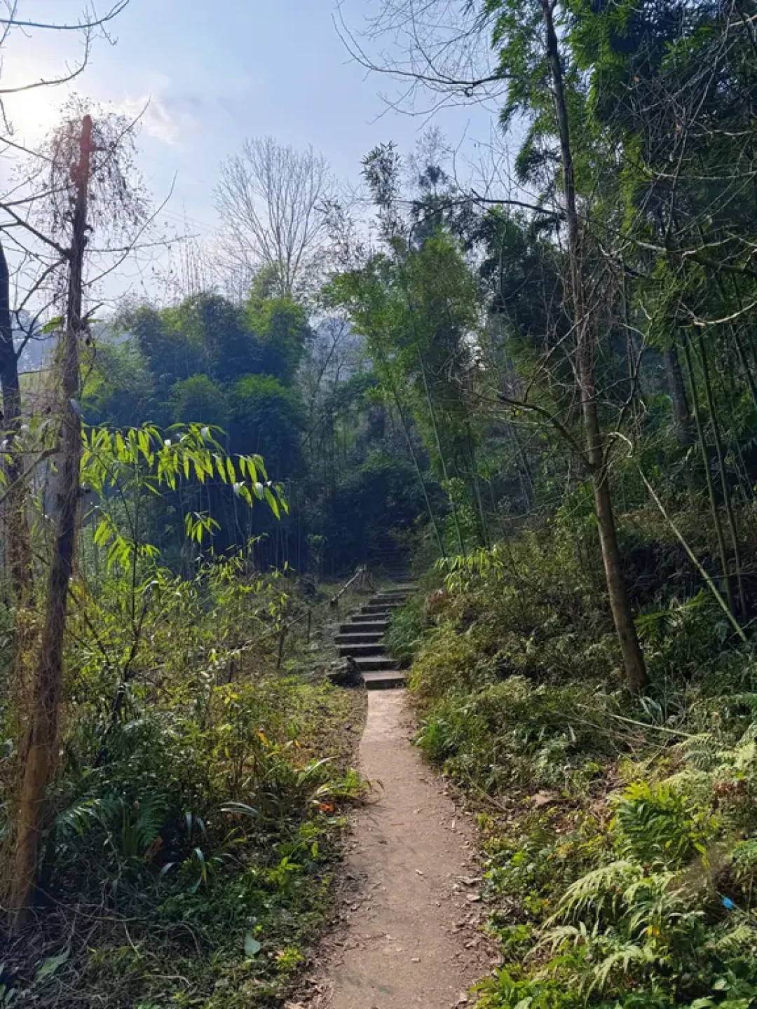 ⛰️大邑三元场环线|徒步✅