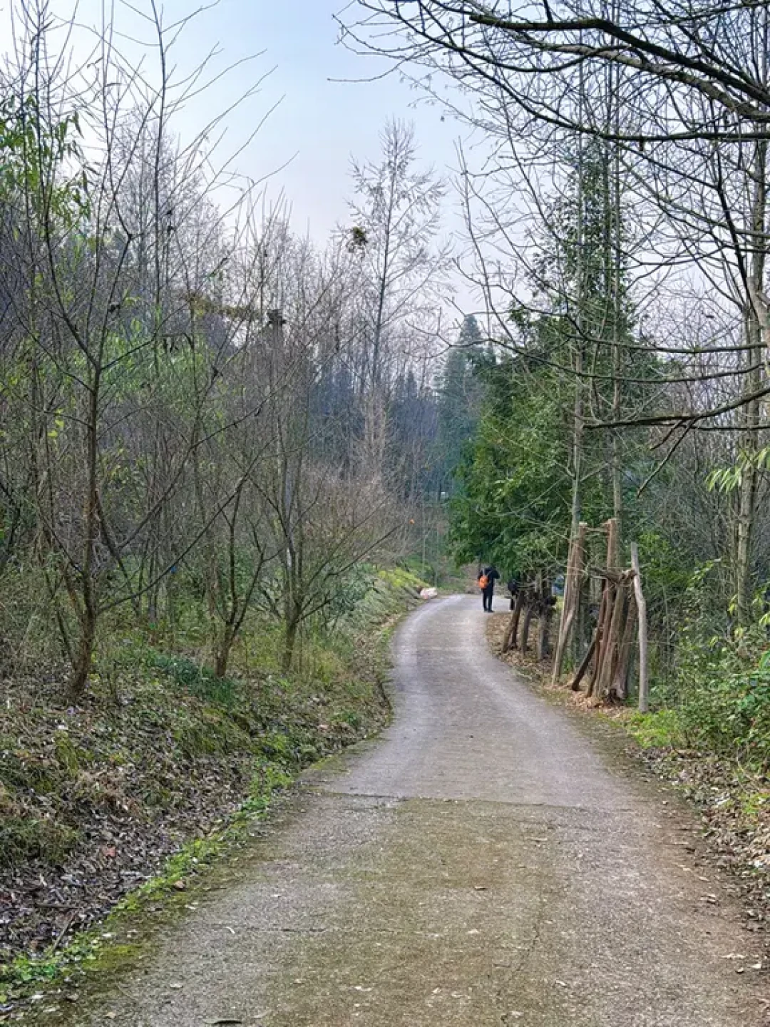 ⛰️大邑三元场环线|徒步✅